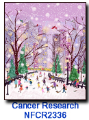Snowfall in the Park charity holiday card