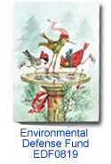 Frolic on Ice charity holiday card supporting Environmental Defense Fund