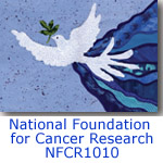 NFCR1010 dove collage