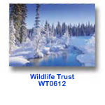 WT0612 Winter Stream